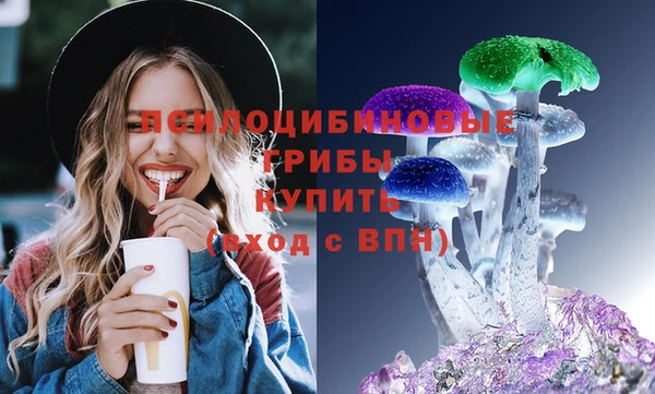хмурый Алзамай