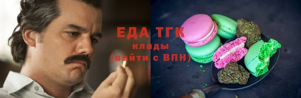 хмурый Алзамай