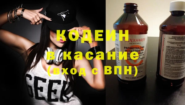 хмурый Алзамай
