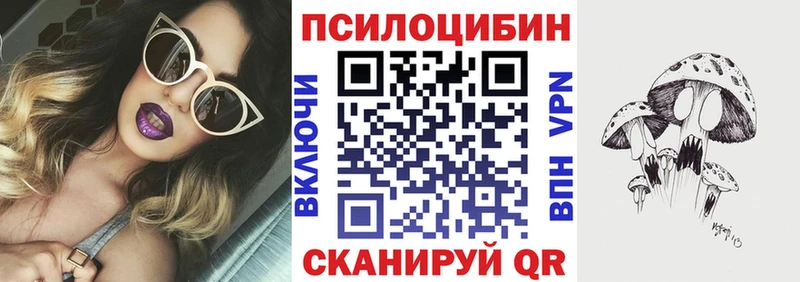 Галлюциногенные грибы Psilocybe  mega сайт  Хвалынск 